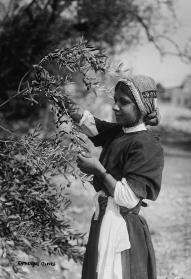 Historic photograph of Palestinian rural life
